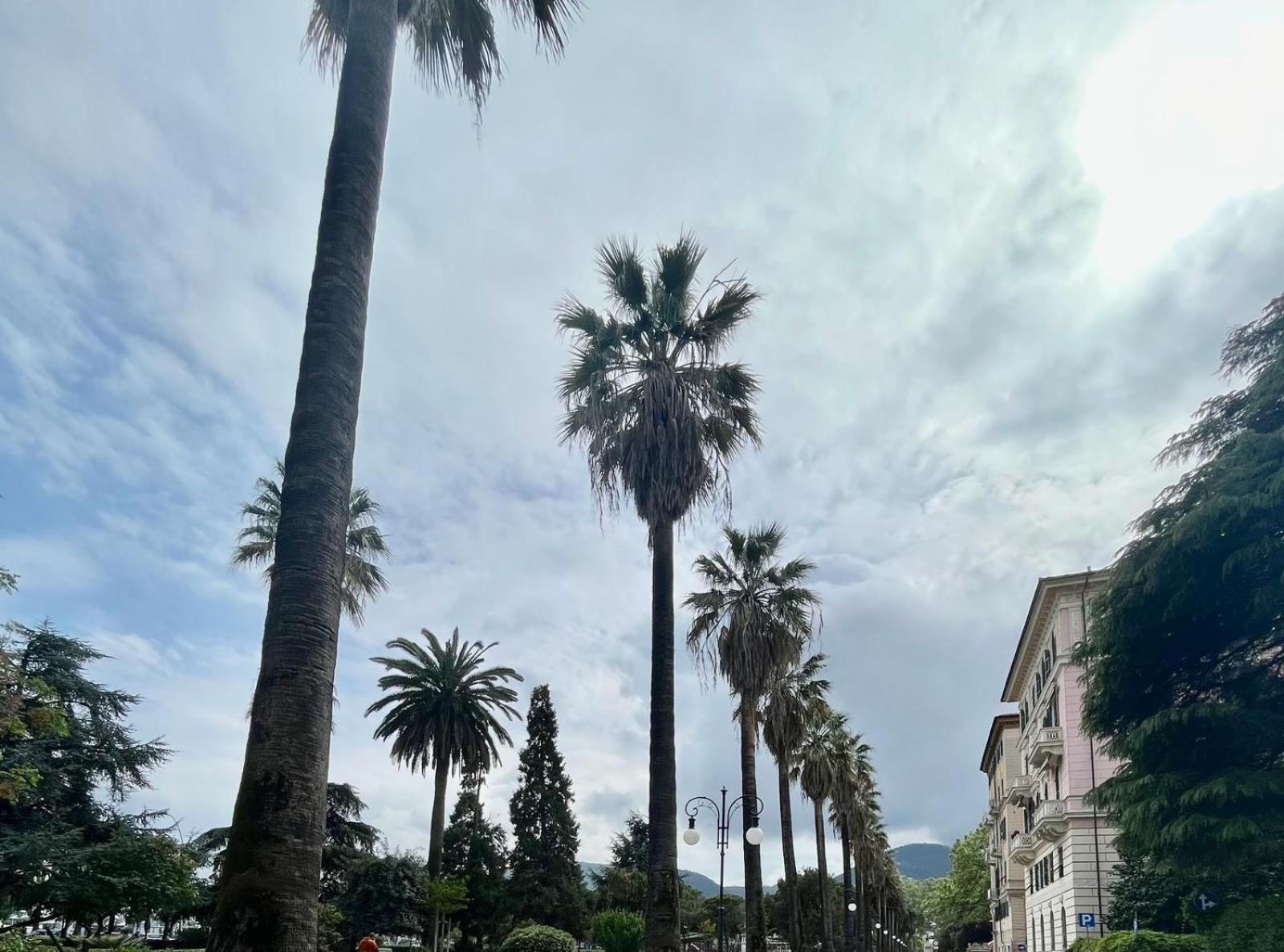Breathe Liguria - Lucy 1 Bedroom And 1 Apartment In A Newly Renovated Nineteenth-Century Building In The Historic Center Near The Sea 라스페치아 외부 사진